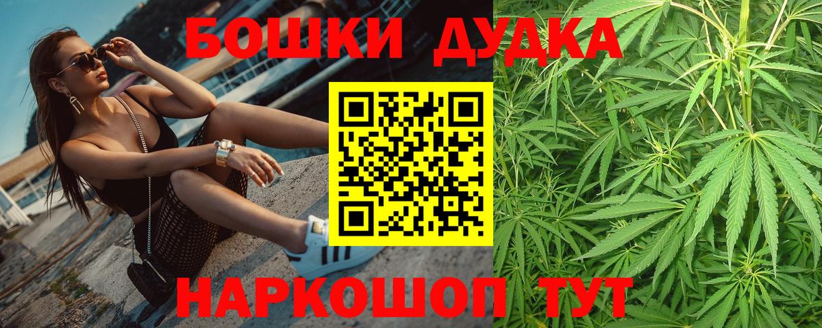 Конопля сатива  Конопля план  Вход с VPN  Марихуана ГИДРОПОН  Баксан 